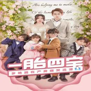 一胎四宝,爹地跪在产房痛哭流涕(新:命中注定我爱你)